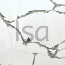 CALACATTA 6650